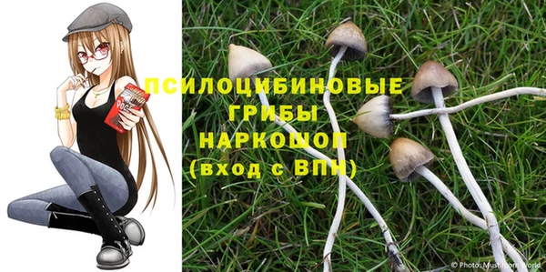 индика Кинешма