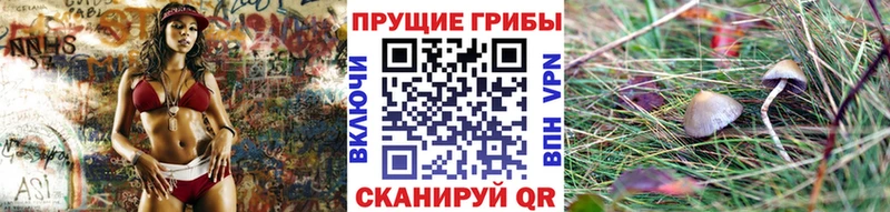 Псилоцибиновые грибы прущие грибы  Суворов 